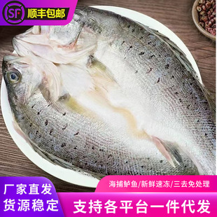 ���r���|�~�_���r���ك����׽��|�~��������R�~���~���Ʒ���r