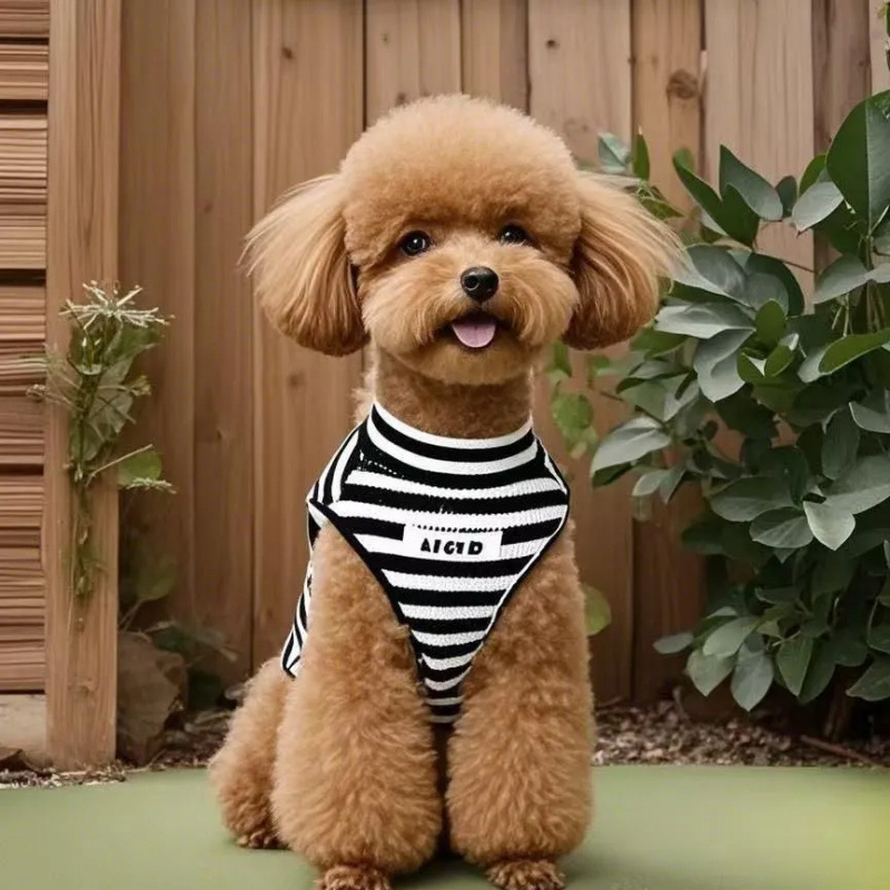 Mascotas verano retró rayas perros gatos chaleco pequeño perro antipello ropa de mascotas transpirable Teddy Bear