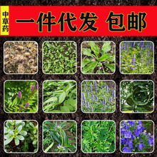 һlвșN { ˅hwyζӷN