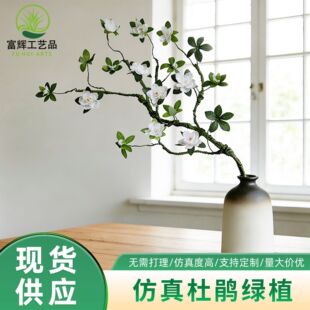 ������N���ٻ��ҾӔ[�O��̖�l��֦�bd�ӻ���ƿ��ʽ�U���L���N