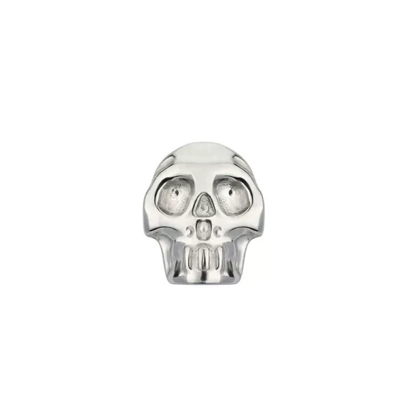 Titanium natural color individual ornament head skull