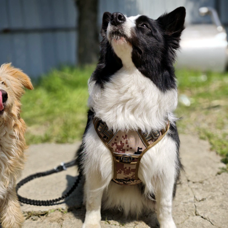 Тактическая шлейка для собак, металлическая железная шлейка, взрывозащищенная утолщенная нейлоновая шлейка для больших и средних собак, домашних животных за рубежом