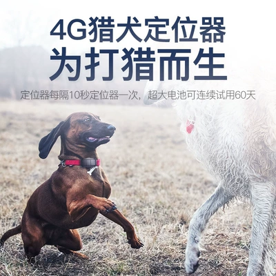 GPS Locator tracker cat cattle sheep