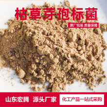 农业林业饲料添加水产养殖用菌肥全水溶微生物菌剂  枯草芽孢杆菌