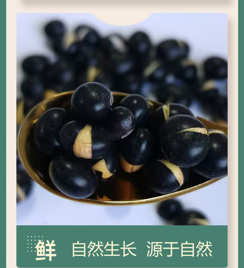Roasted Yellow-Heart Black Soybeans Hei Dou Ready-to-Eat Grain Milling Ingredient 500g in use