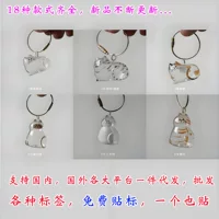 Transparent storage box, commemorative capsule, keychain