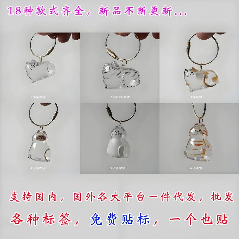 Transparent storage box, commemorative capsule, keychain
