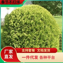 һlؘ辰زĞļɰľͥԺξG