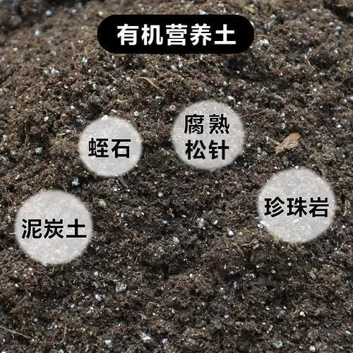 花卉园艺用有机营养土 公园造景绿化腐殖土 育苗基质