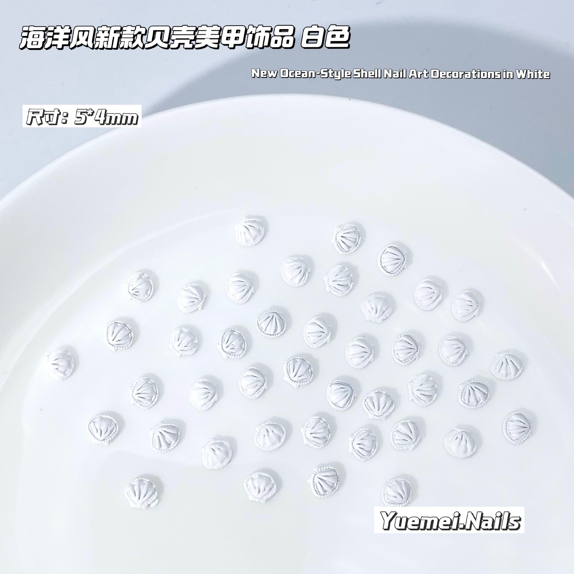 쉘 화이트(AA000503)