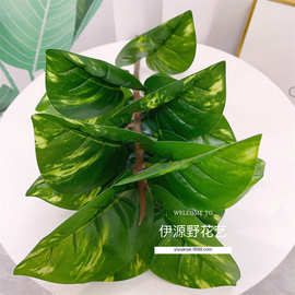 假花绿植盆栽墙面装饰仿真植物叶子背景墙插花配材绿萝叶万年青