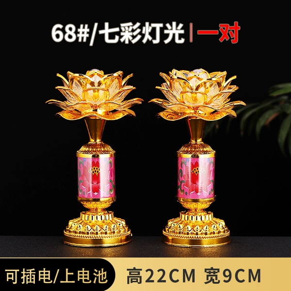 New Lotus Golden Lantern 68/One pair
