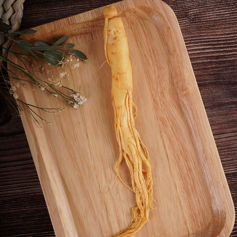 Производители свежего женьшеня оптом Гора Чанбай свежего женьшеня северо-восток специальность свежего женьшеня игристое вино агент по набору женьшеня