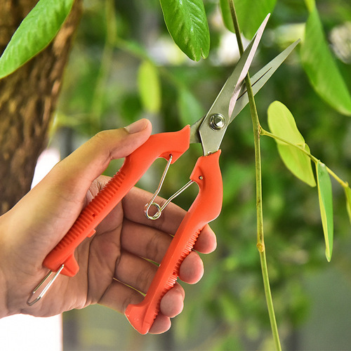 Factory supplies garden telescopic pruning scissors, grafting flower scissors, stainless steel fruit picking scissors, gardening potting scissors