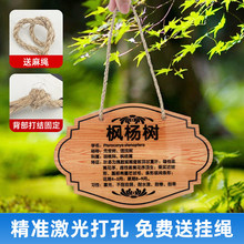 �ǿ������ƹ�����ľ���ܱ�ʶ����ľ����ֲ����diy������ֲ���̻�