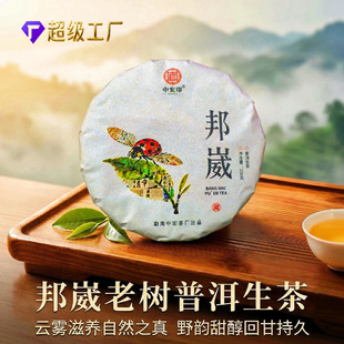 �к�ӡ����ն���2019����˹Ř������200�˲�����l���ն��