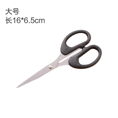 크기가 큰