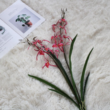 ֩m辰bQlƵ͏dsܛbҕ[O