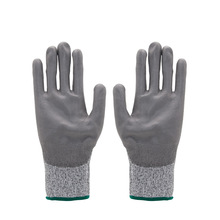 5и13PUTĥ͸˺фڱ