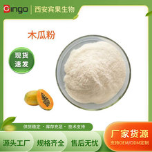 现货供应 木瓜风味粉 固体饮料原料木瓜粉 食品级木瓜粉 量大价优