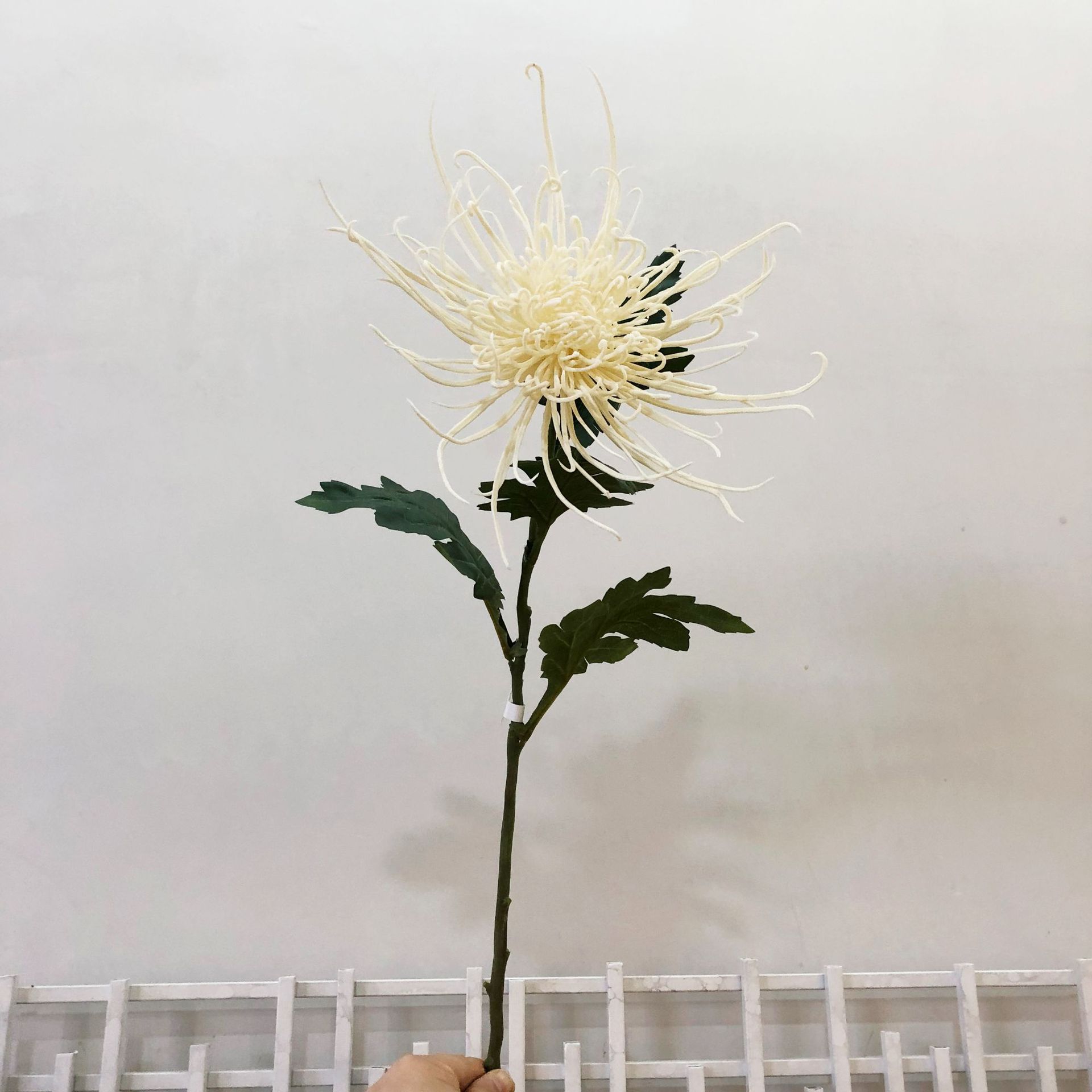 兰蔻火树银花 (2)