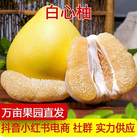 番薯类;柚;其他水果