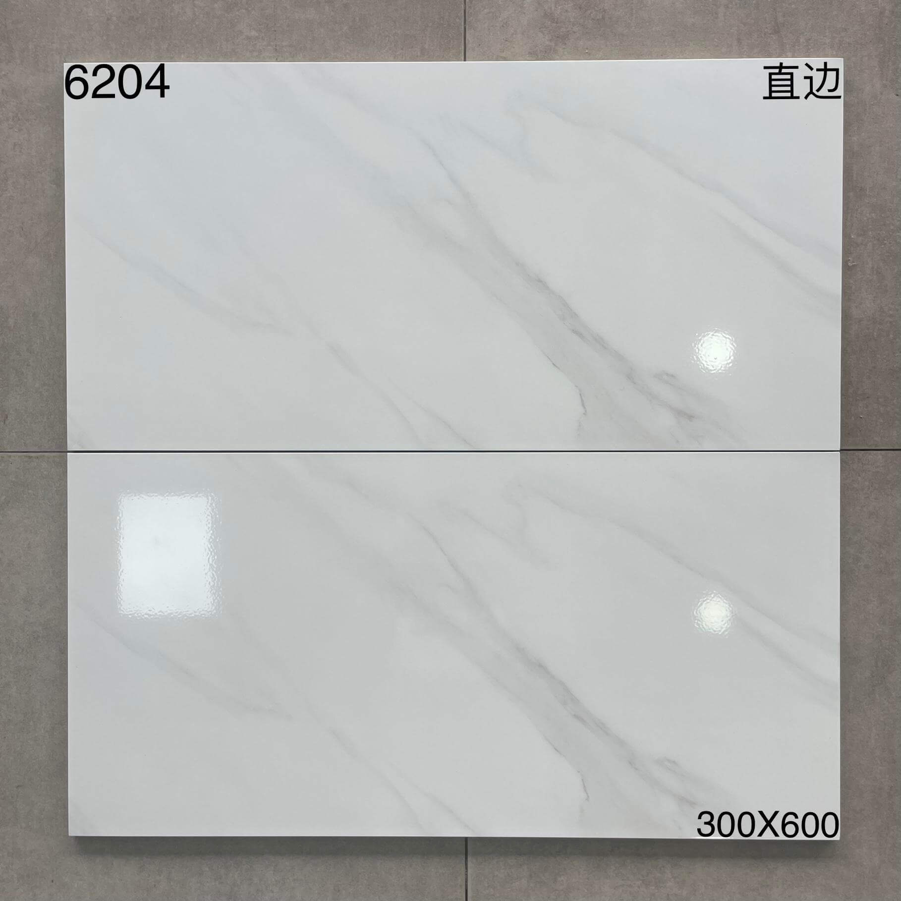 6204