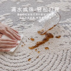 シンプルなホームリビングルームカーペット防水拭き取り可能洗える軽い高級ハイエンドフロアマット大面積フルベッドサイドブランケット
