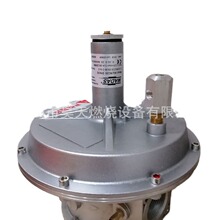 AG/RC06 DN40 �R�_˹MADAS ��Ȼ�����y AG/RC07 DN50 ����{���y