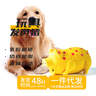 �羳�������z�≺���������ҧĥ�����c�i�l�������Դ�^���S