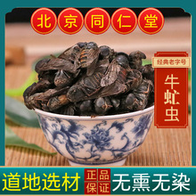 ţ��x���ţ�ţ���xţ�nωţ������xţå�x��؛��؛