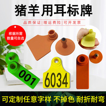 �i���ö����Ƽ�����֫F�ö���̖ӛ̖�P�����Q�i�����������