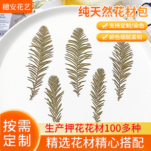 Preserved Flower Small Leaf Cedar Dried Flower Floral Art DIY Wedding Decoration Wall Photography Background Wall Bouquet Wholesale