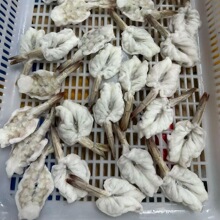 凤尾虾仁新鲜冷冻开背蝴蝶虾水煮汉虾南美白对虾海鲜水产商用批发