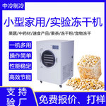 实验型冻干设备小型果蔬真空冷冻干燥机冻干粉宠物食品冻干机家用