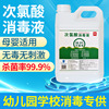 Hypochlorite disinfectant kindergarten commercial alcohol Hand Hand wash Spray water OEM wholesale 100ml