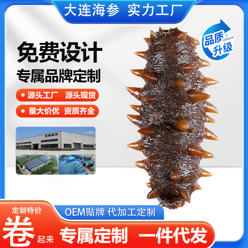 批发定制鲜食海参批发一件起批冷蒸底播商用礼盒装开袋15头10头6
