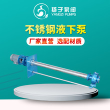 FY型立式不锈钢液下泵 耐腐耐磨化工液下泵  耐高温 配防爆电机