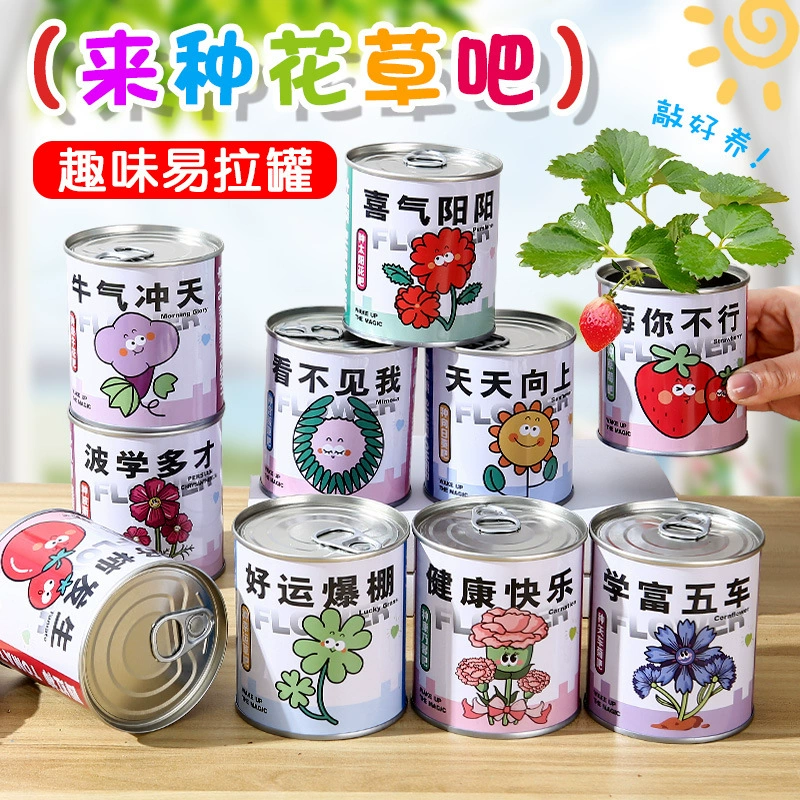 Дети выращивают консервы в горшках зеленые растения наблюдение за ростом слепых коробок для детского сада натуральных образовательных материалов пакет оптом