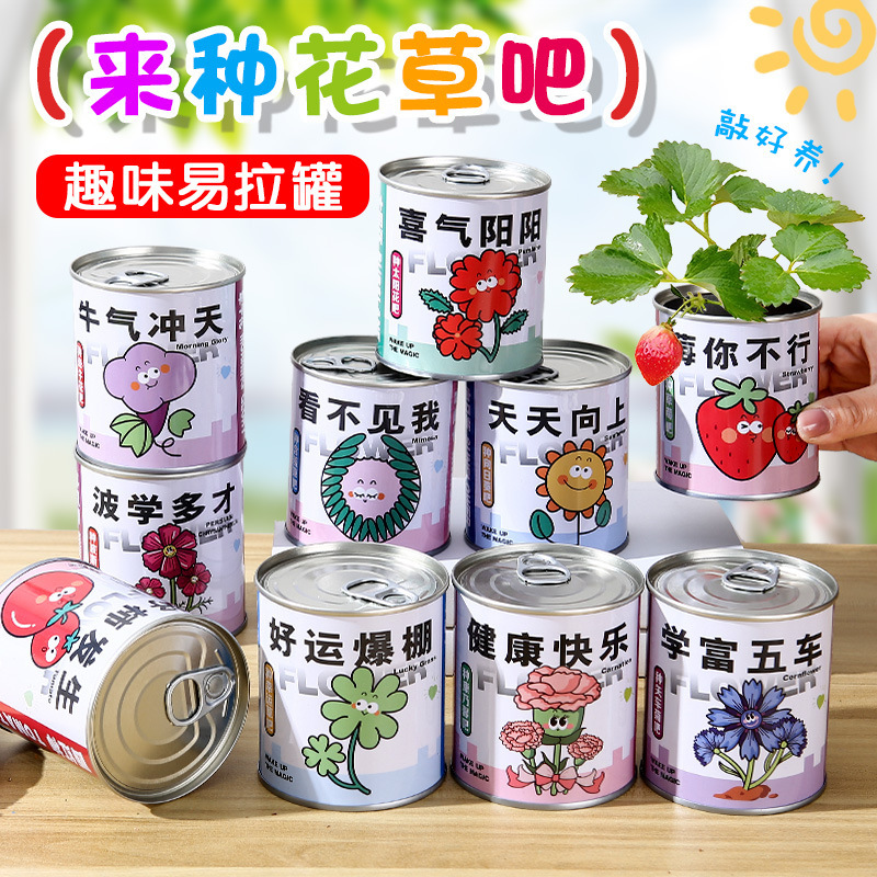Children's Canned Potted Plant Growth Observation Blind Box Kindergarten Natural Education Material Package Wholesale