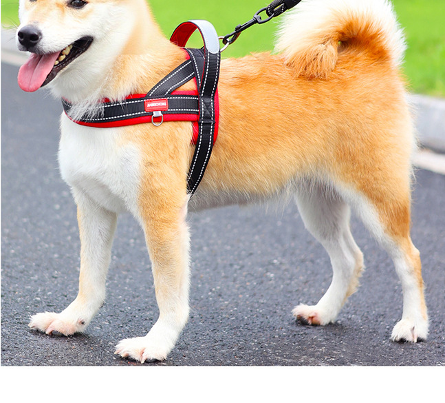 马鞍式狗狗牵引绳中小型犬比熊防挣脱遛狗绳泰迪宠物胸背带遛狗链|undefined