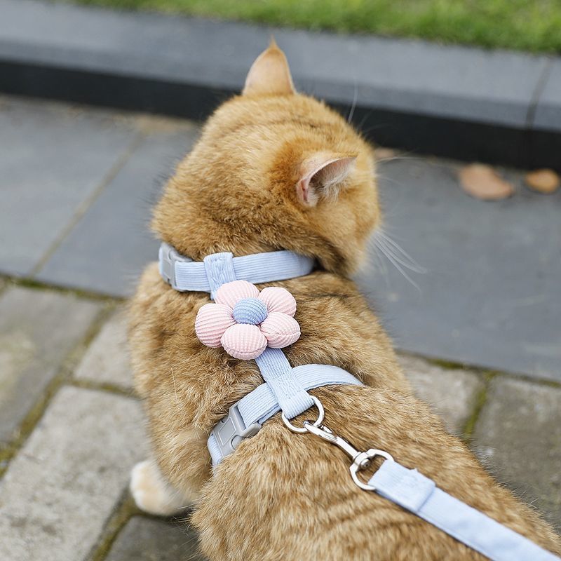 猫咪卡通牵引绳外出挣脱工字型调节宠物专用布偶泰迪小型绳子犬用|undefined