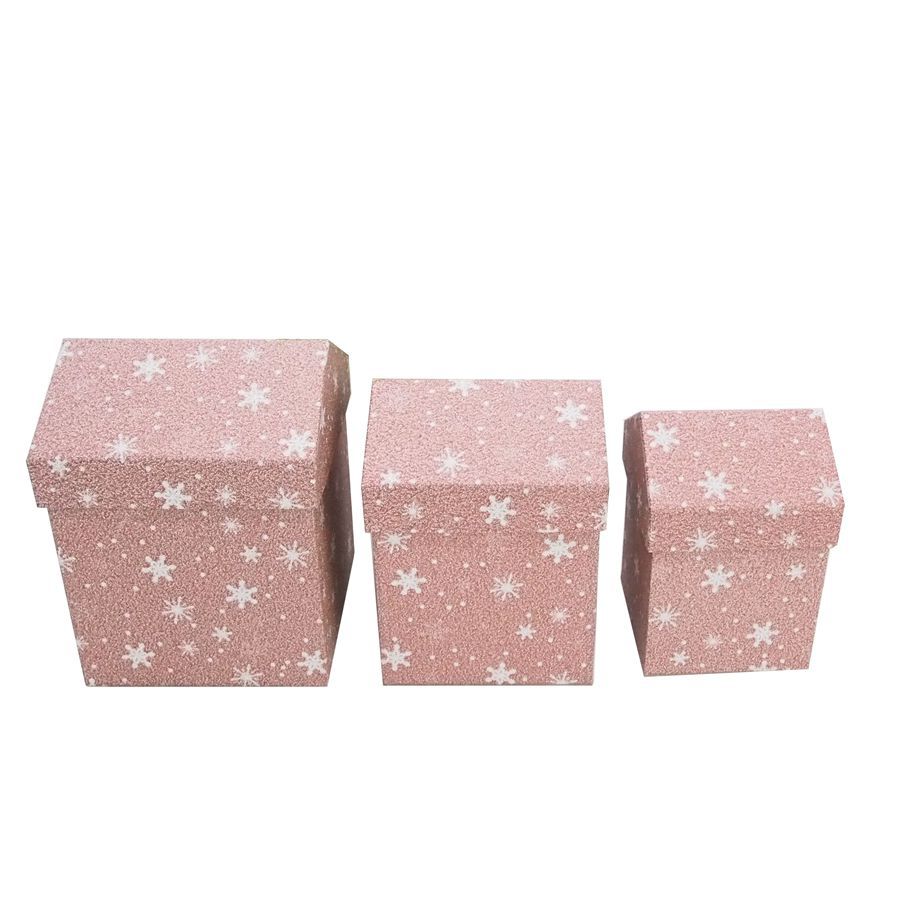 厂家优惠价格 纸巾抽纸收纳包装 天地盖盒圣诞屋形特种纸礼品盒