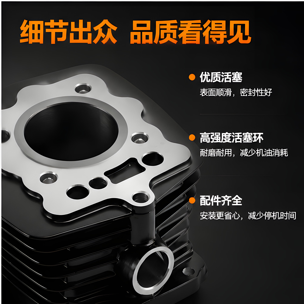 Motorcycle Dm200 Cylinder Piston Kit Italika Rt200 Cylinder Kit 67mm Accessories