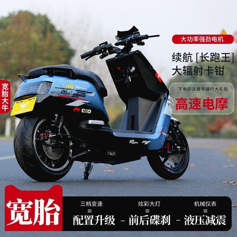新しい大型ダブルスイングアーム 14inch 大型ワイドタイヤ大人のテイクアウトハイパワー男性と女性のペダル高速電動バイク長距離ランニングキング|undefined