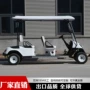 观光电动景区定制球车