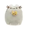 Biscuit cat