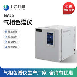 荆和 MG40经济型气相色谱仪生产厂家 国产气相色谱仪色谱分析仪