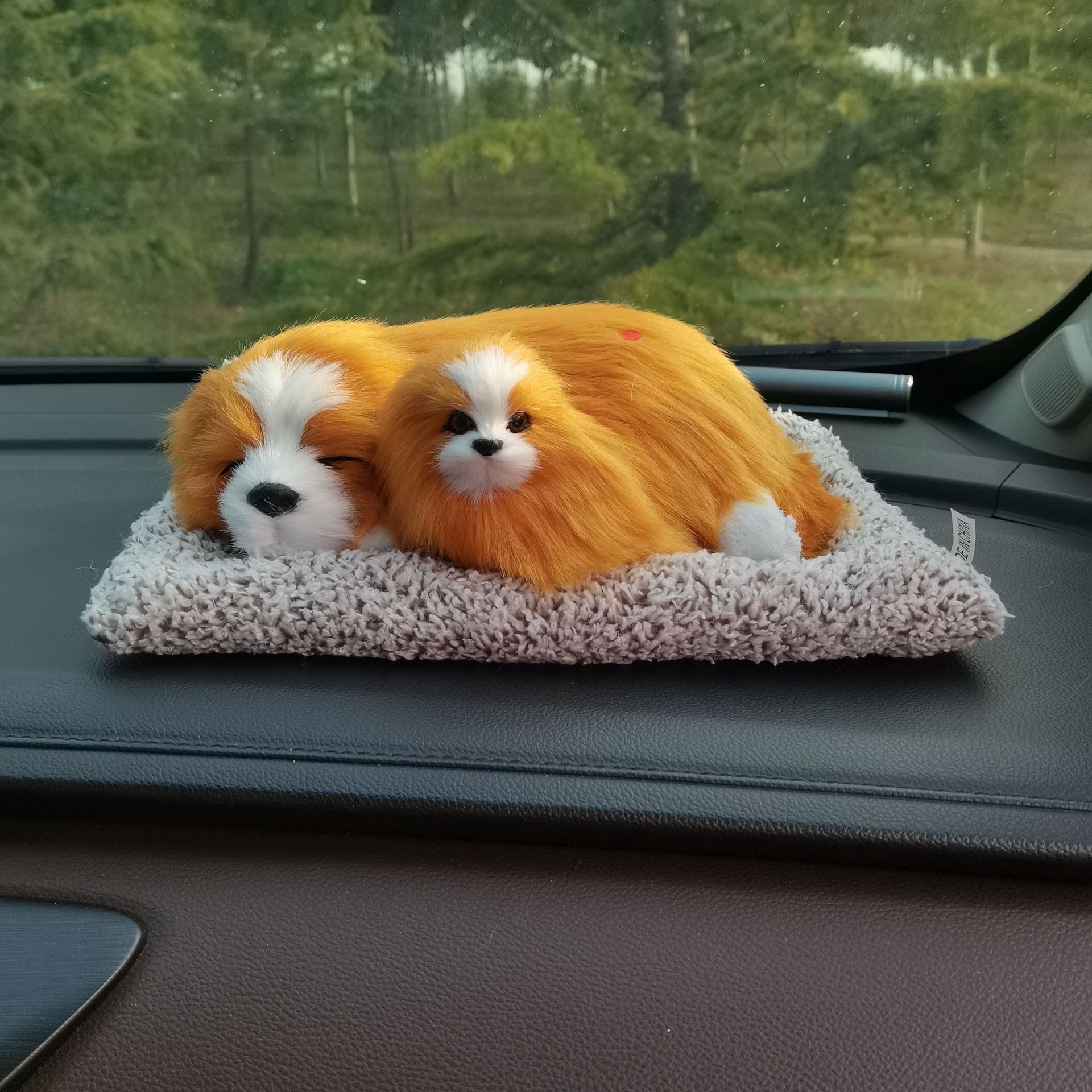 微信图片_20221002084204