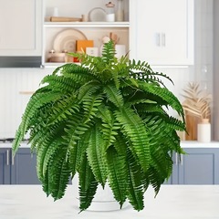 スポット爆発クロスボーダーアマゾンシミュレーション緑植物シダ植物緑植物ボストンシダの葉卸売